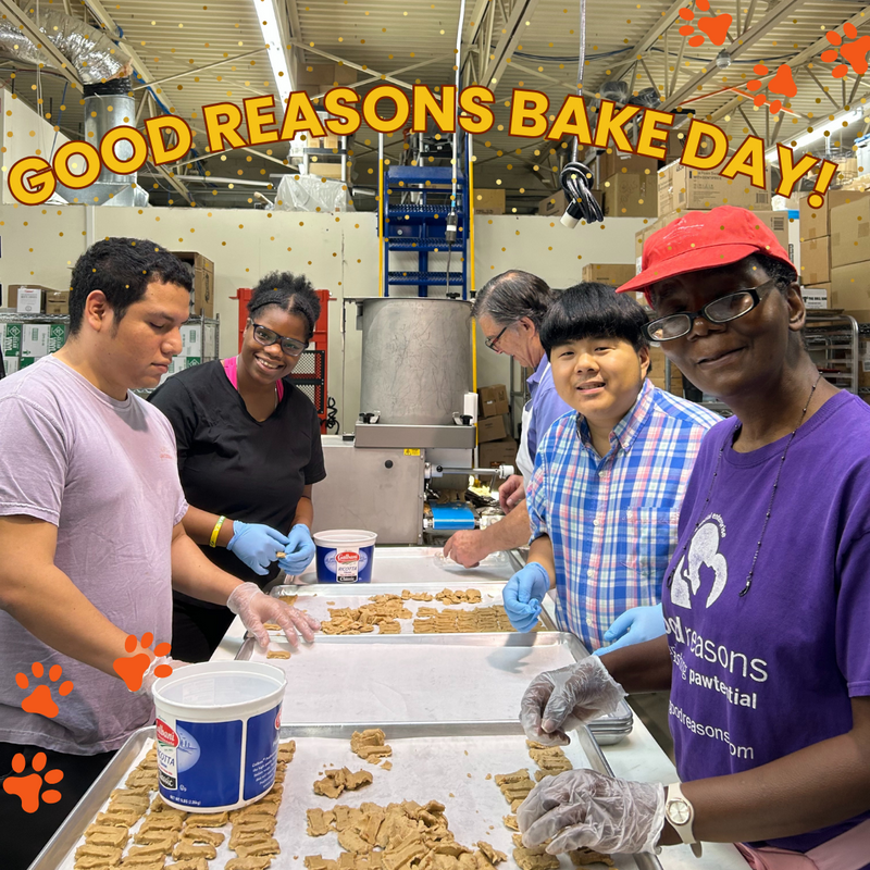 Bake Days at Good Reasons Dog Treats: Crafting Goodness and Inclusion