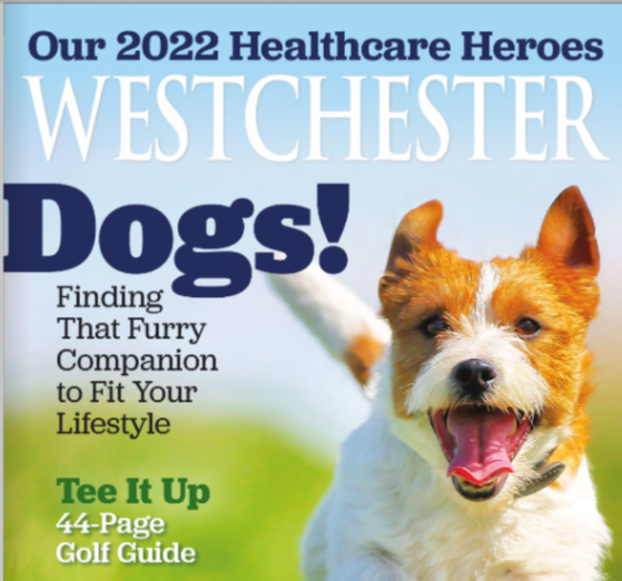 Thank you, Westchester Magazine!