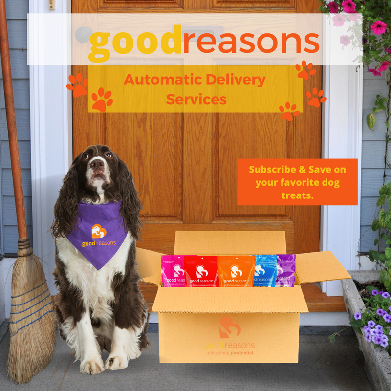 Exciting News! We Are Now Offering Automatic Delivery For our Good Reasons Dog Treats!